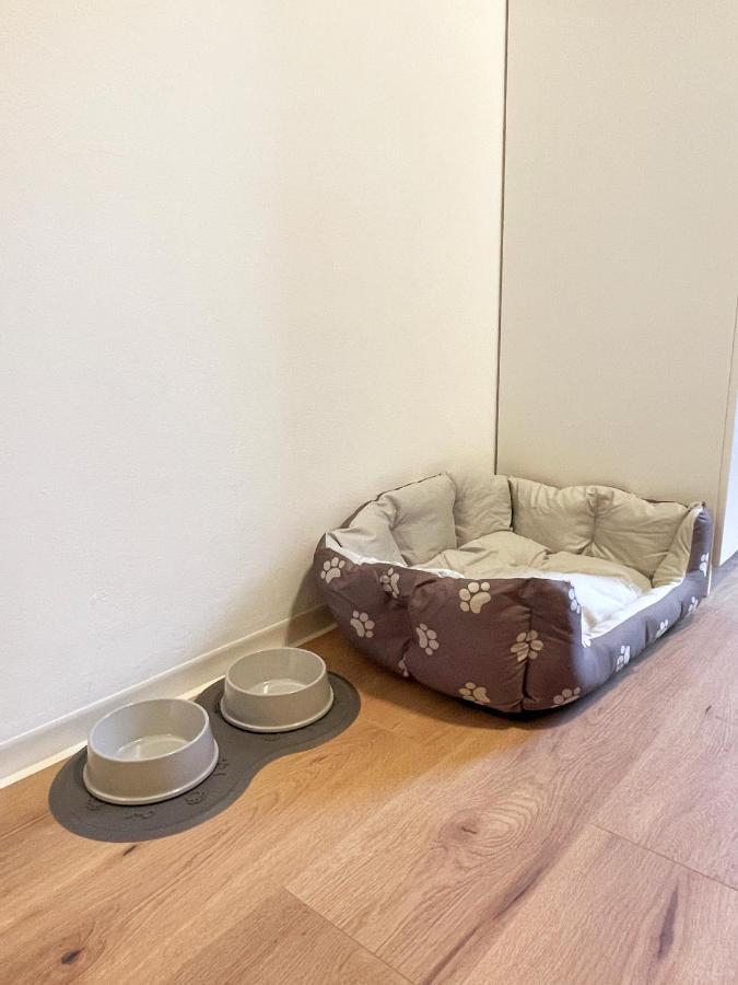 Moderne Studio Apartments In Nuernberg Dış mekan fotoğraf